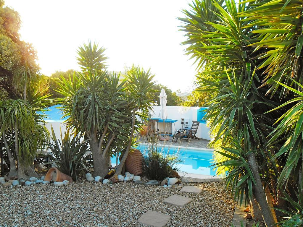 Villa Surprise Guesthouse Cape Town Bagian luar foto