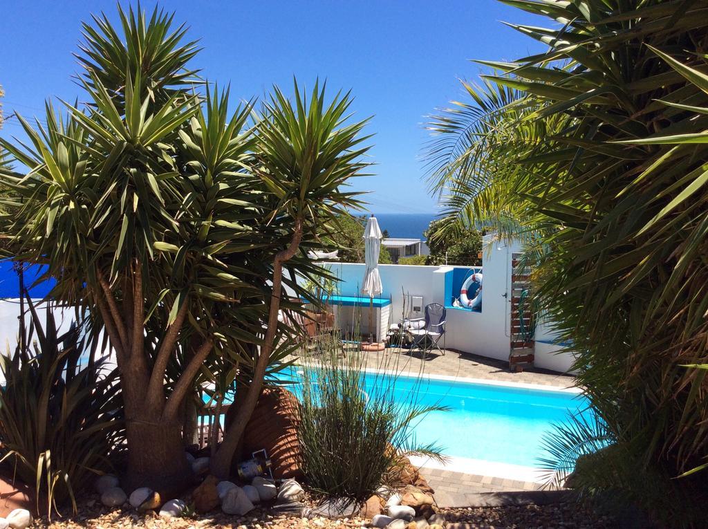 Villa Surprise Guesthouse Cape Town Bagian luar foto